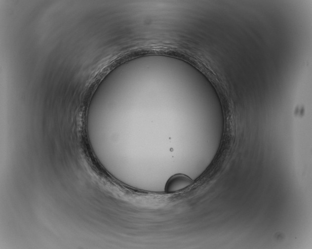 X0000112000032200908031057