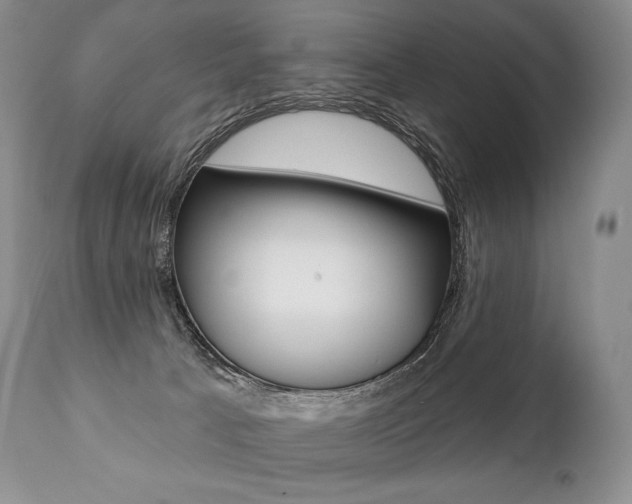 X0000112000033200908031057