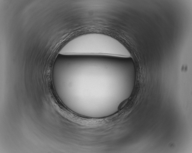 X0000112000036200908031057