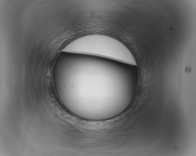 X0000112000037200908031057