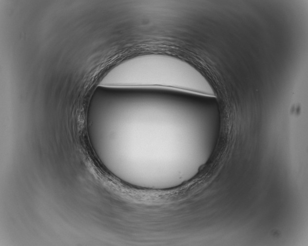 X0000112000040200908031057