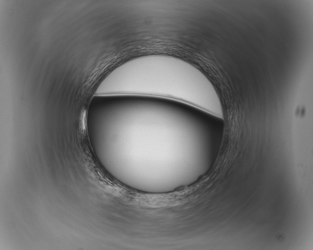 X0000112000041200908031057