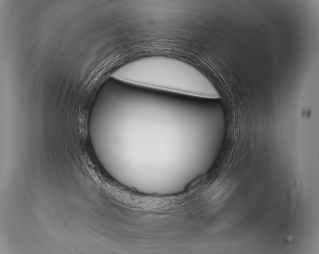 X0000112000044200908031057