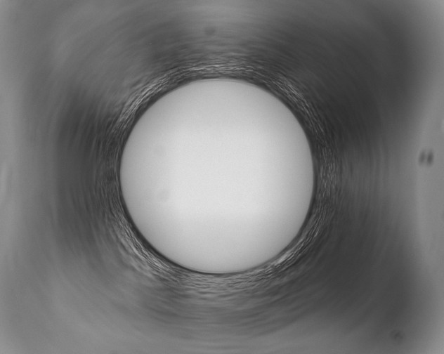 X0000112000045200908031057