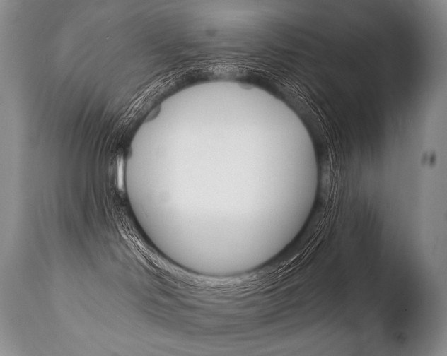 X0000112000046200908031057