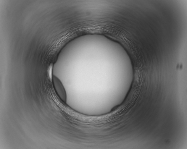 X0000112000047200908031057