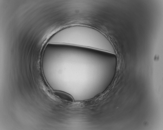 X0000112000050200908031056