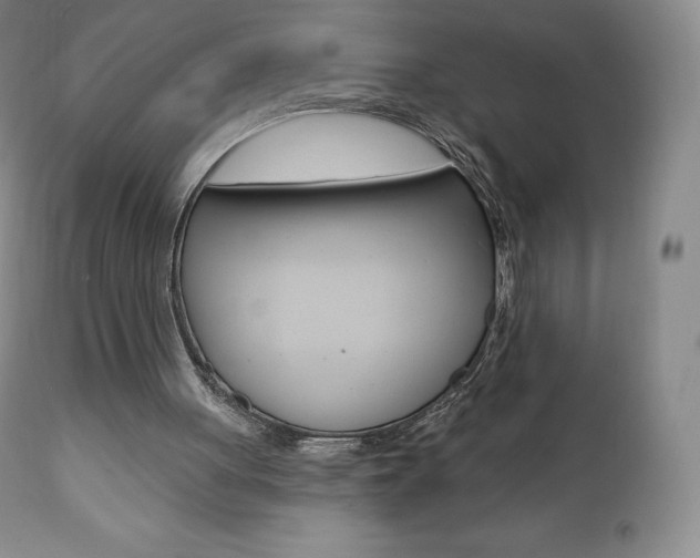 X0000112000051200908031056