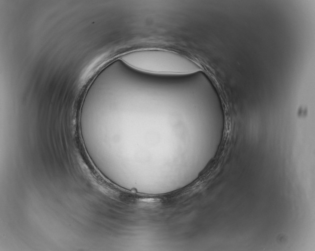 X0000112000053200908031056