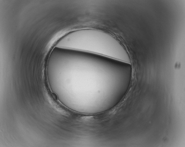 X0000112000054200908031056