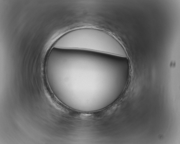 X0000112000055200908031056