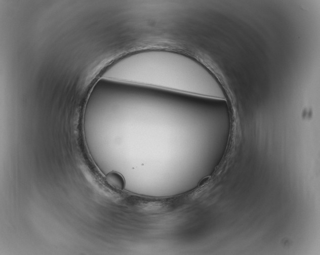 X0000112000058200908031056