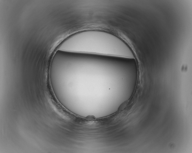 X0000112000059200908031056