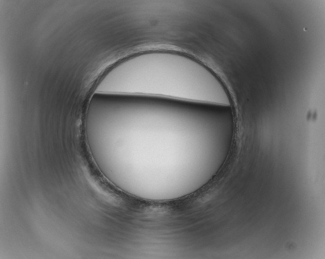 X0000112000063200908031056
