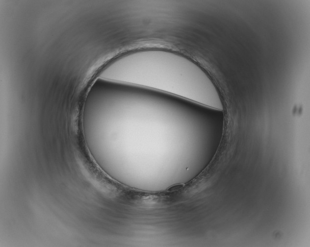 X0000112000064200908031056