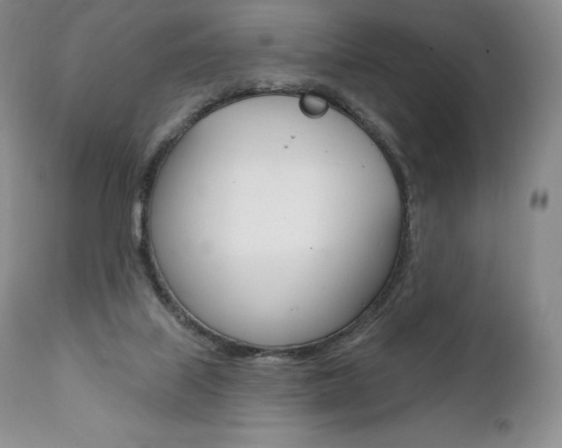 X0000112000067200908031056