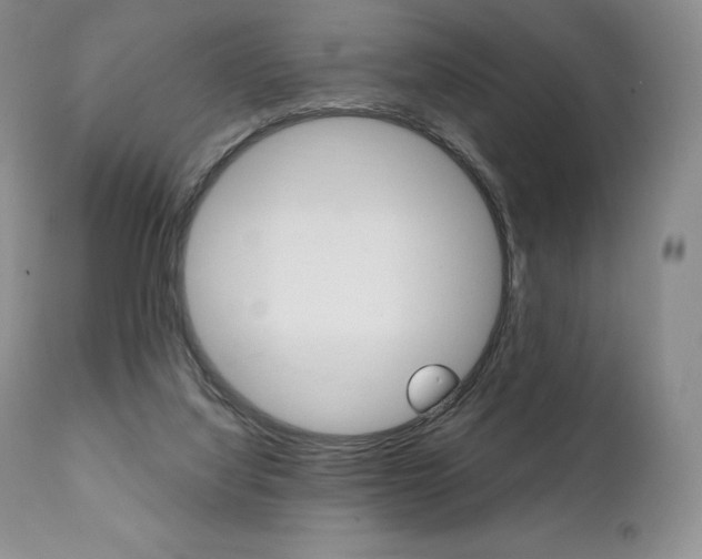 X0000112000068200908031056