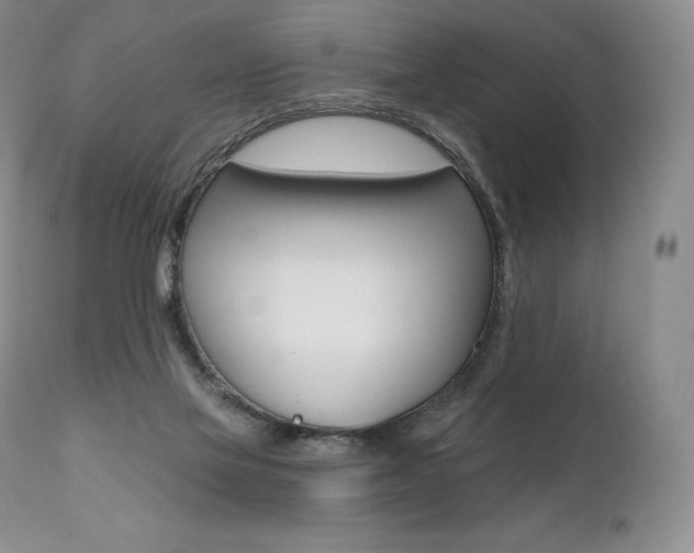 X0000112000069200908031056