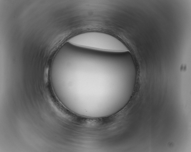 X0000112000070200908031057