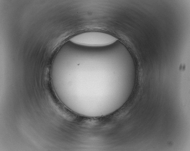 X0000112000071200908031057