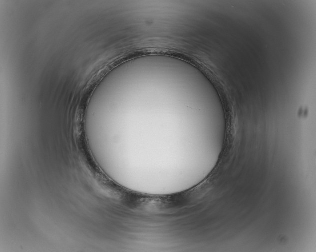 X0000112000074200908031057