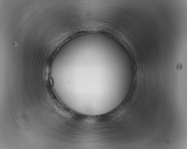 X0000112000076200908031057