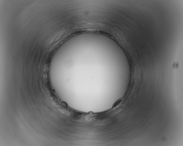 X0000112000078200908031057