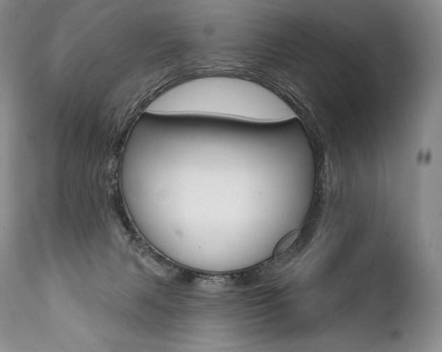 X0000112000079200908031057