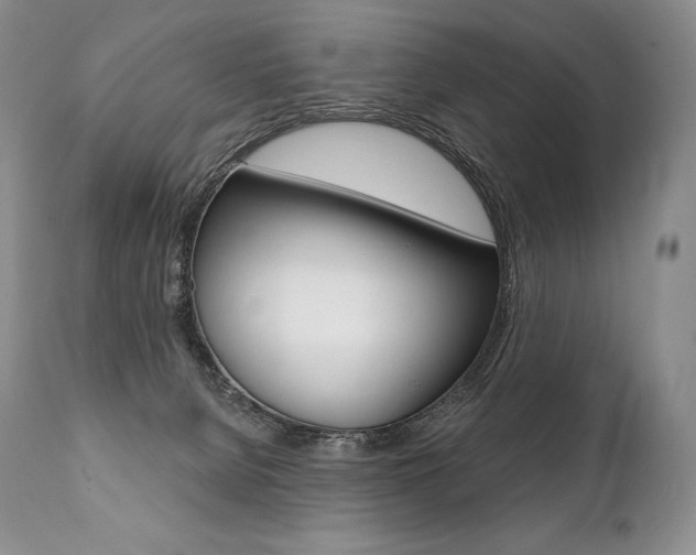 X0000112000080200908031057