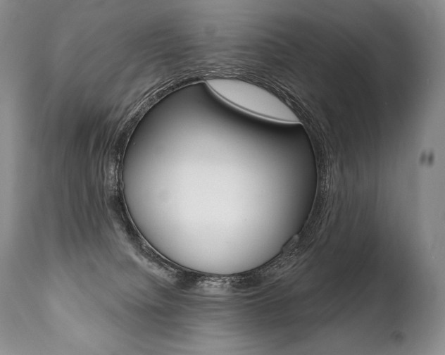 X0000112000084200908031057
