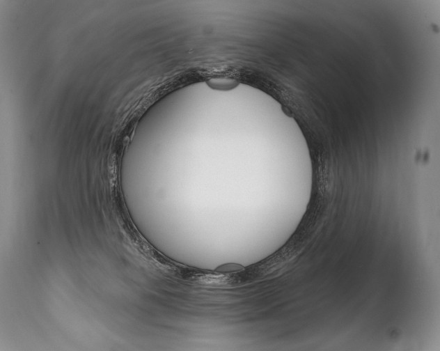X0000112000085200908031057
