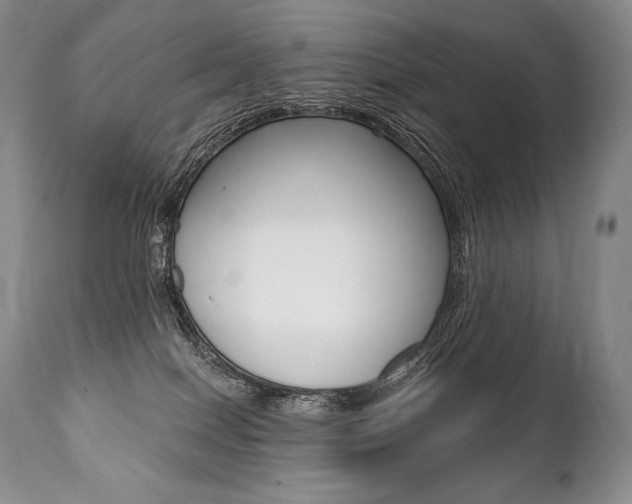 X0000112000086200908031057