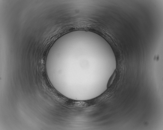 X0000112000087200908031057