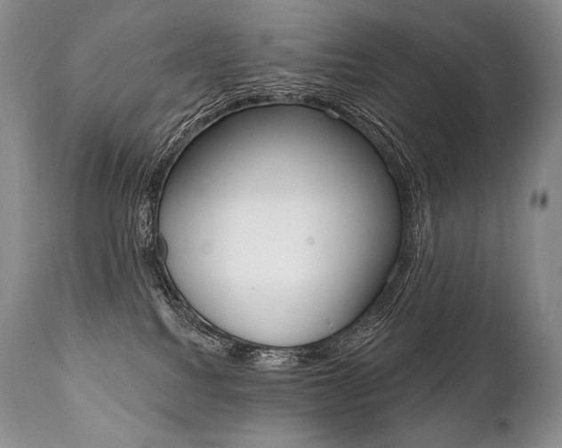 X0000112000088200908031057