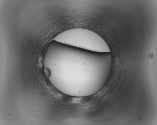X0000112000090200908031057
