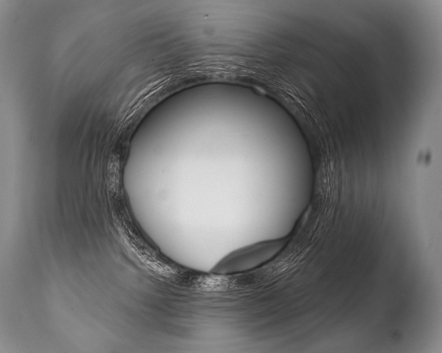X0000112000092200908031057