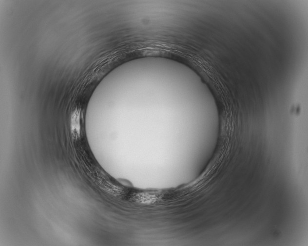 X0000112000094200908031057