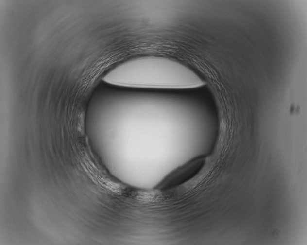 X0000112000096200908031057