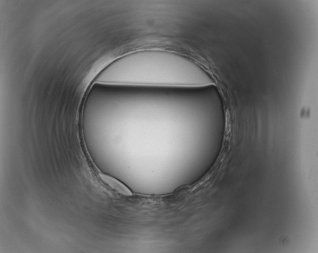 X0000112000099200908031056