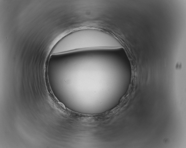 X0000112000100200908031056