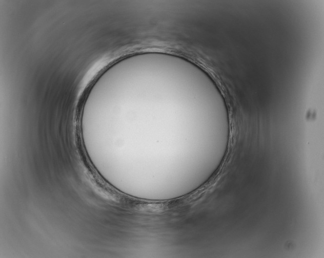 X0000112000102200908031056