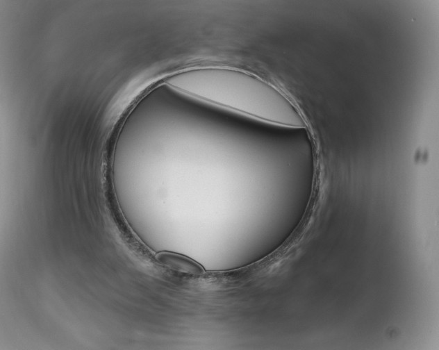 X0000112000103200908031056