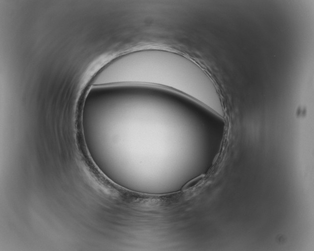 X0000112000104200908031056