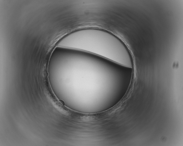 X0000112000105200908031056