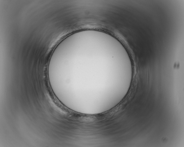 X0000112000106200908031056