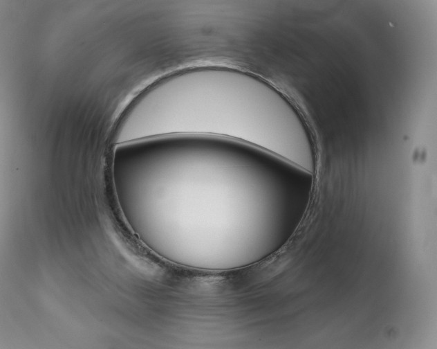 X0000112000108200908031056