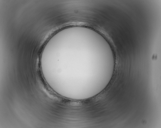 X0000112000110200908031056