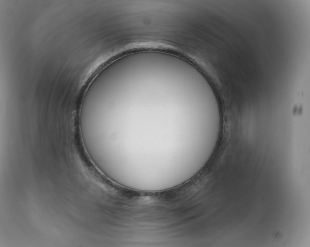 X0000112000111200908031056