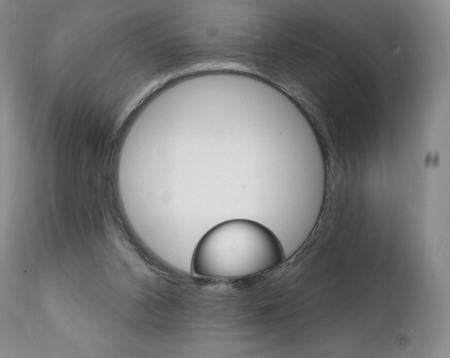X0000112000112200908031056