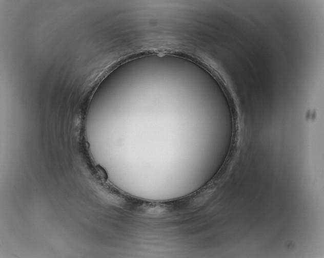 X0000112000113200908031056